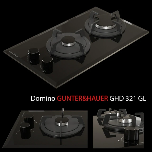 Gunter &amp; Hauer EOM + GHD 966 321 GL — Descargar