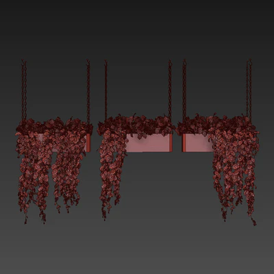 Collection plant vol 470 - ampelous - hanging - pothos — Вид 5