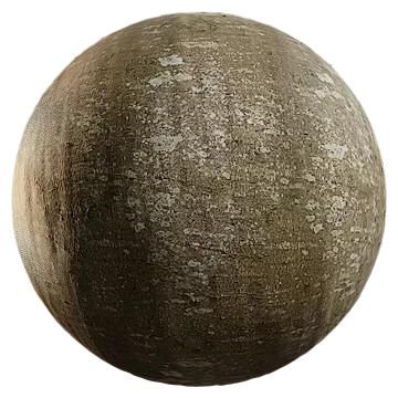beech bark 010 — Descargar