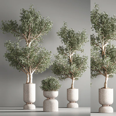 indoor plant set21 — Вид 6