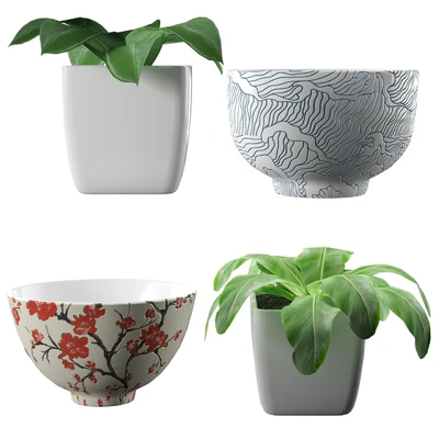 Japanese Set-1 — Вид 3