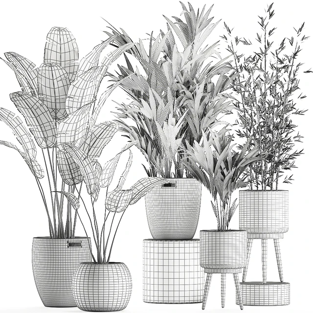 Collection of indoor plants in rattan baskets with palm, bamboo, banana for decoration and interior. Set 600. — Descargar