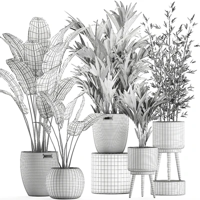 Collection of indoor plants in rattan baskets with palm, bamboo, banana for decoration and interior. Set 600. — Ver 4