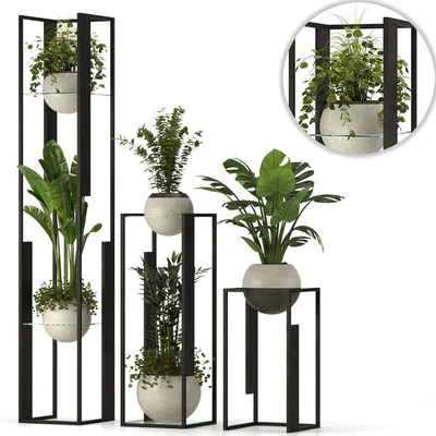 Collection Indoor Plants Nim12 — Вид 7