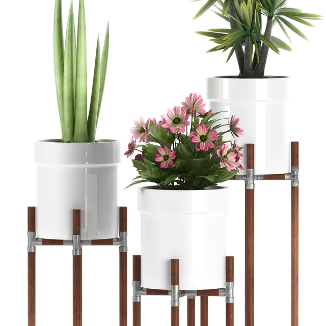 PLANTS 130 — Descargar