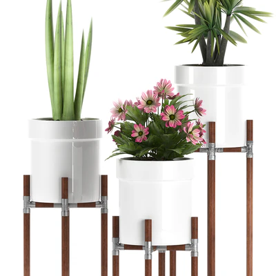 PLANTS 130 — Ver 2