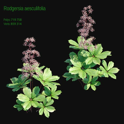 Rogers horse chestnut 2 — Ver 1