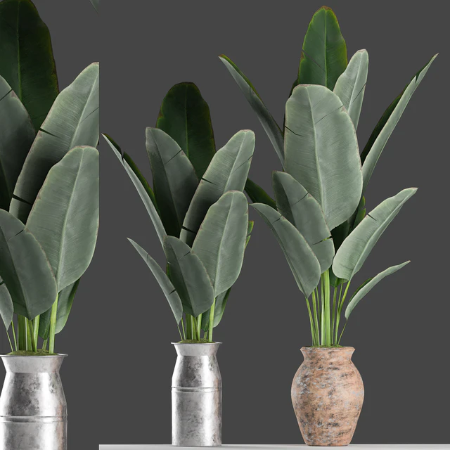 Plants 122 — Descargar