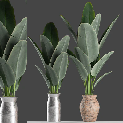 Plants 122 — Ver 1