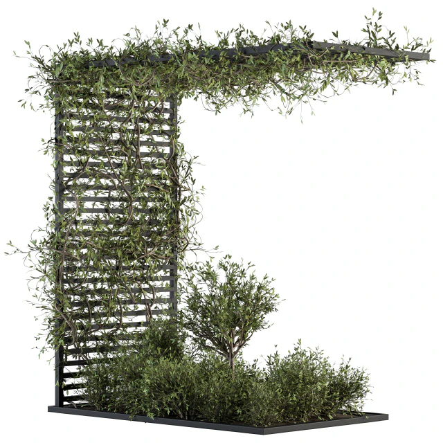 Garden set ivy and Bush - Garden Set 13 — Descargar