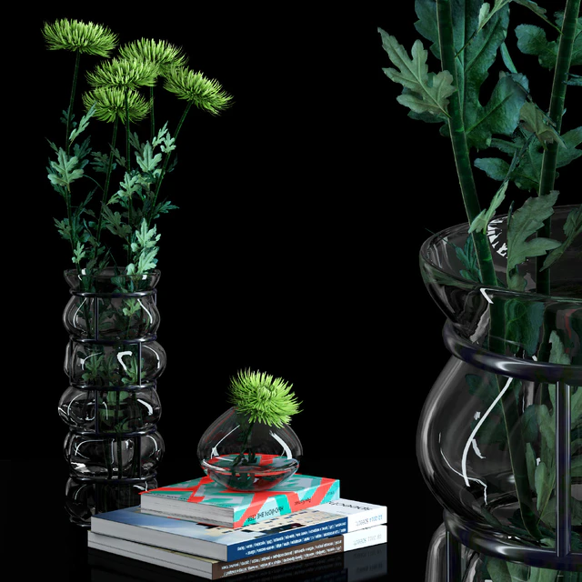 Green Spider Mom Asters Set — Descargar