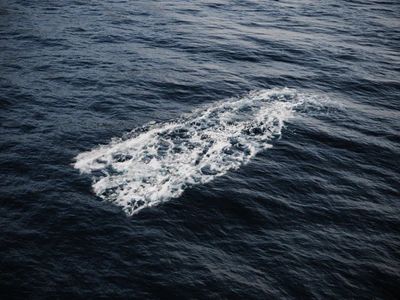 foam 002 — download