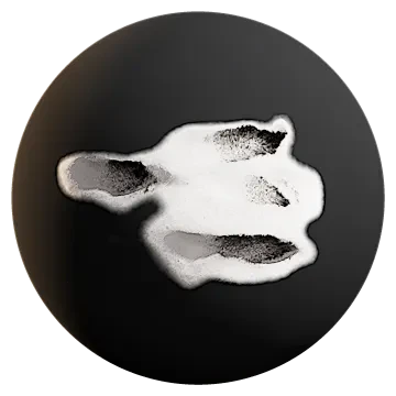 snow footprint 001 — Descargar
