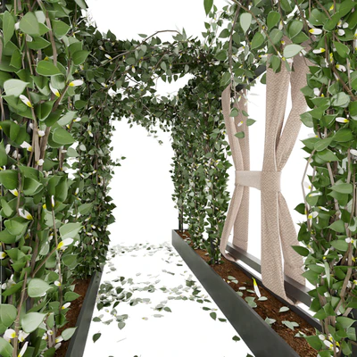 Collection plant vol 28 — Ver 3
