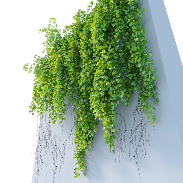 Hanging Plant 30 — Descargar