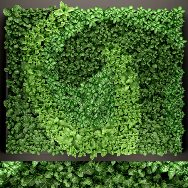 Vertical garden 14. vertical garden, green wall, phytomodule, eco design, picture of flowers, plants on the wall — Descargar