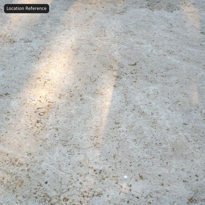 fallen leaves on dirty concrete texture white — Вид 5
