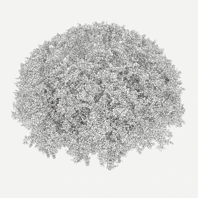 Teucrium fruticans — Descargar