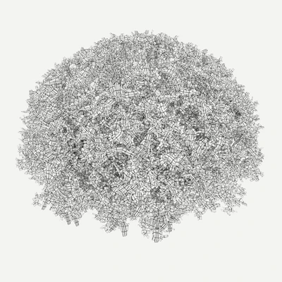 Teucrium fruticans — Ver 3