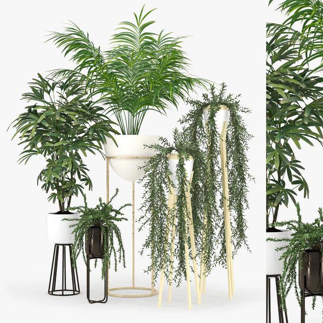 Plant Set 02 — Descargar