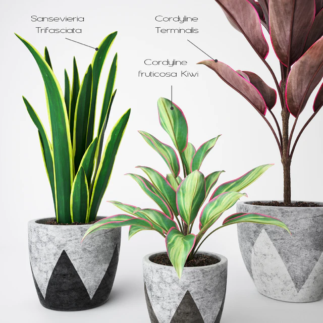 Plant Set — Скачать