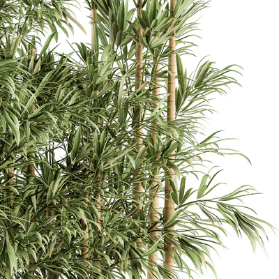 Indoor Plant Set 144 - Bamboo in Plant Box — Ver 5