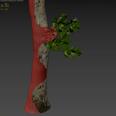 Plane-tree / Sycamore / Platanus #17 — Ver 6