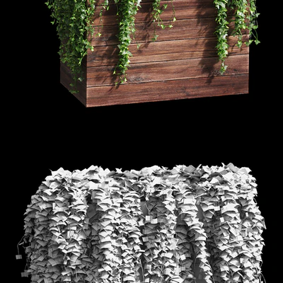 Ivy in tubs. 4 models — Ver 2