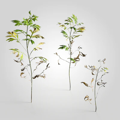 low poly plants 003 — Descargar