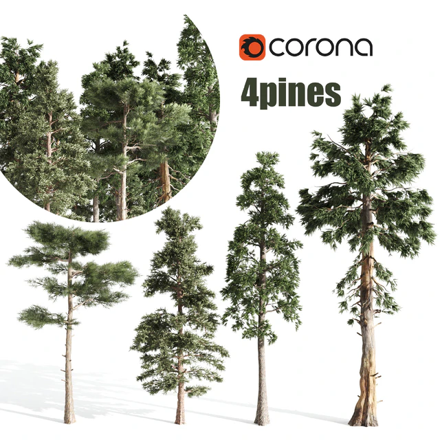 4 pines — Descargar