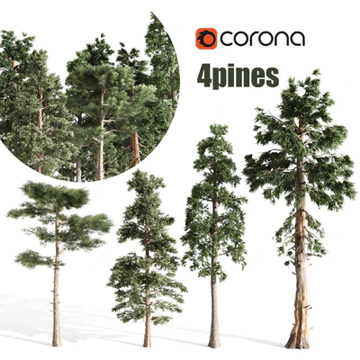 4 pines — Ver 1