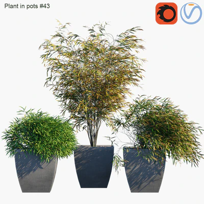 Plant in pots # 43: Palm and grass — Ver 1