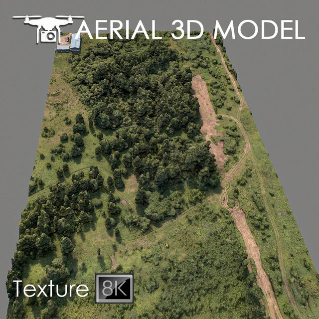 Forest 75 — Download