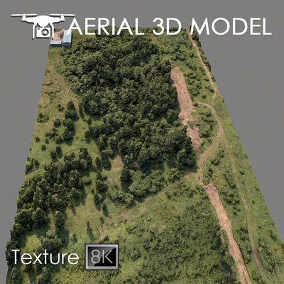 Forest 75 — View 1