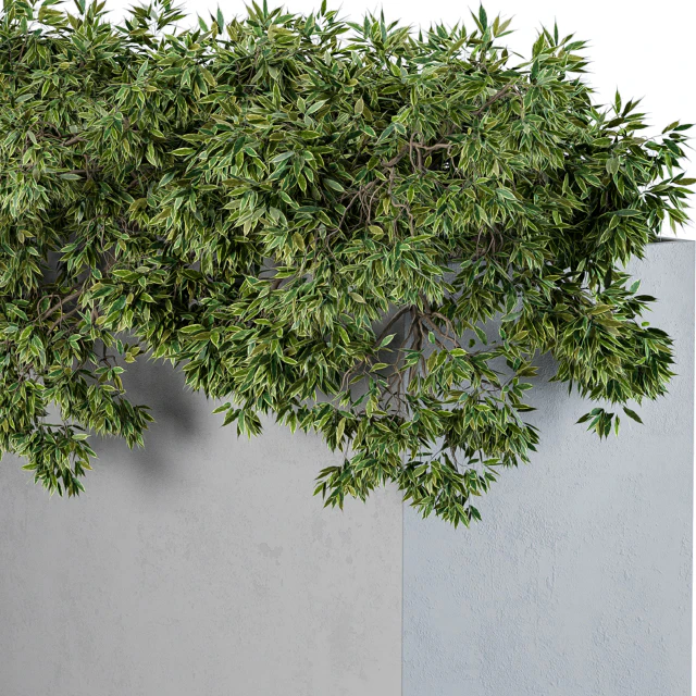 outdoor Plants Concrete Box - Set 43 — Скачать