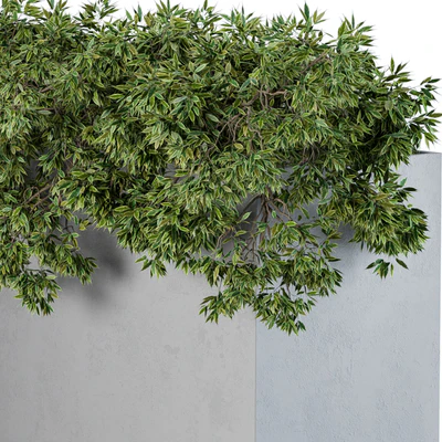 outdoor Plants Concrete Box - Set 43 — Вид 3
