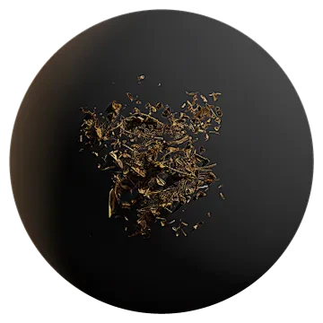 dry leaf debris 004 — Descargar