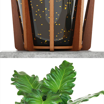 Collection of plants 154. Philodendron, pot, flowerpot, bush, tropical, indoor, decorative — Ver 3