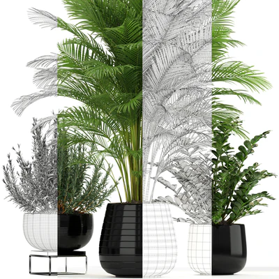 Plants collection 180 — Вид 2