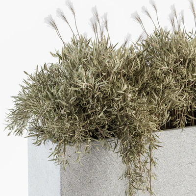 Outdoor Plants in Concrete Plant Box - Set 165 — Ver 3