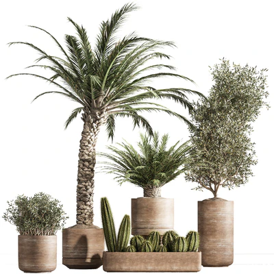 indoor plant set 36 — Вид 1