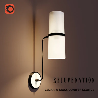 REJUVENATION-CEDAR & MOSS CONIFER SCONCE — Вид 2