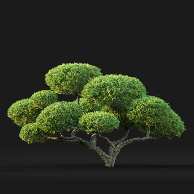 Bonsai — Скачать