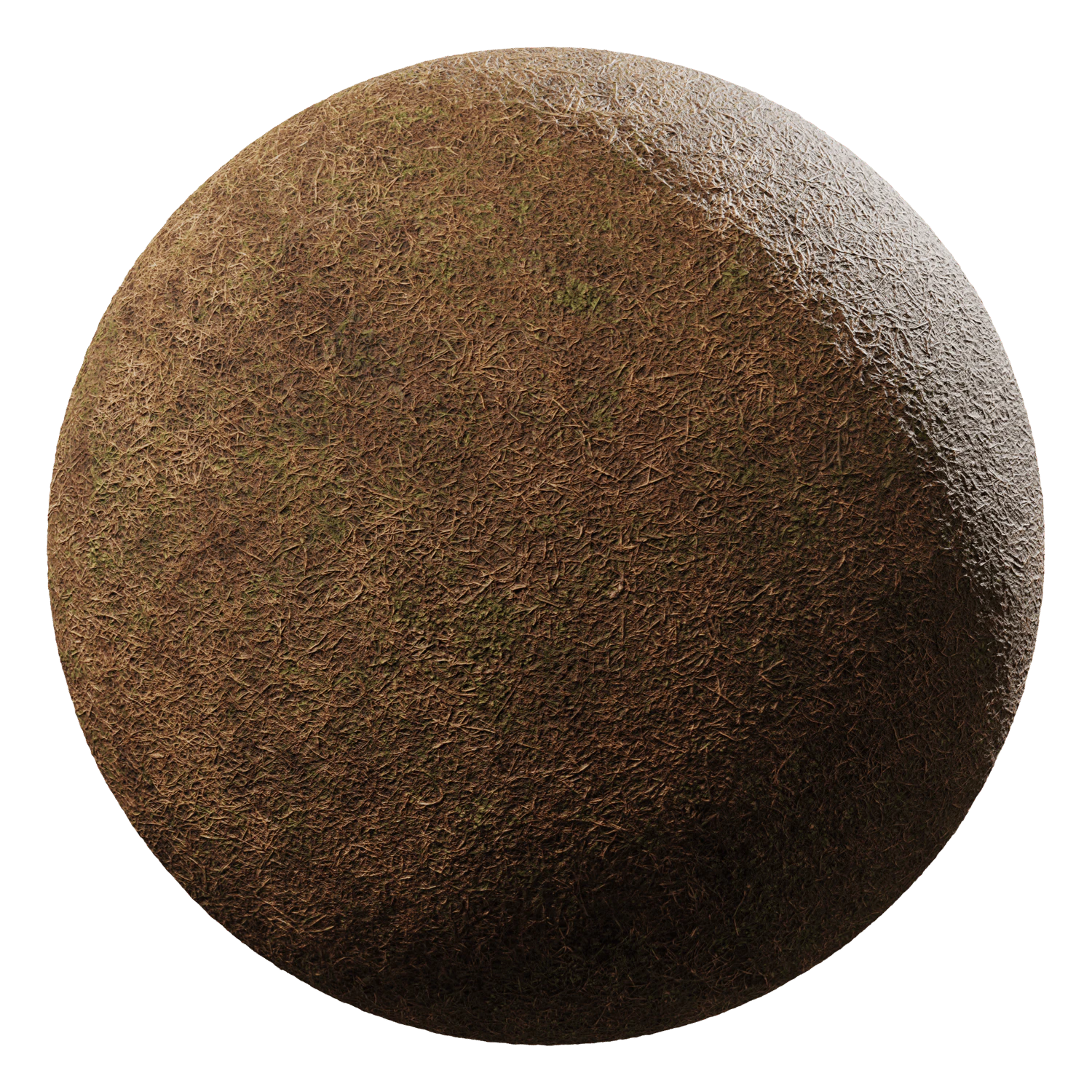 grass brown 001 — Descargar