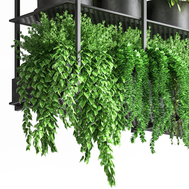collection Indoor plants hanging pot metal 01 — Descargar
