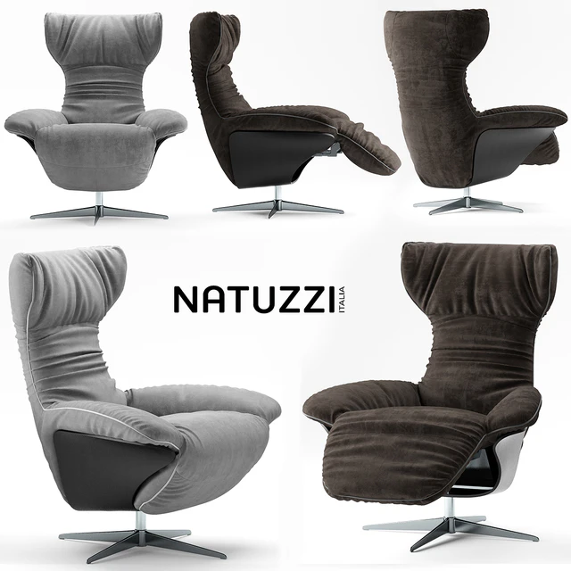 Armchair natuzzi ilia — Download