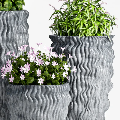 PLANT SET -64 — Ver 3
