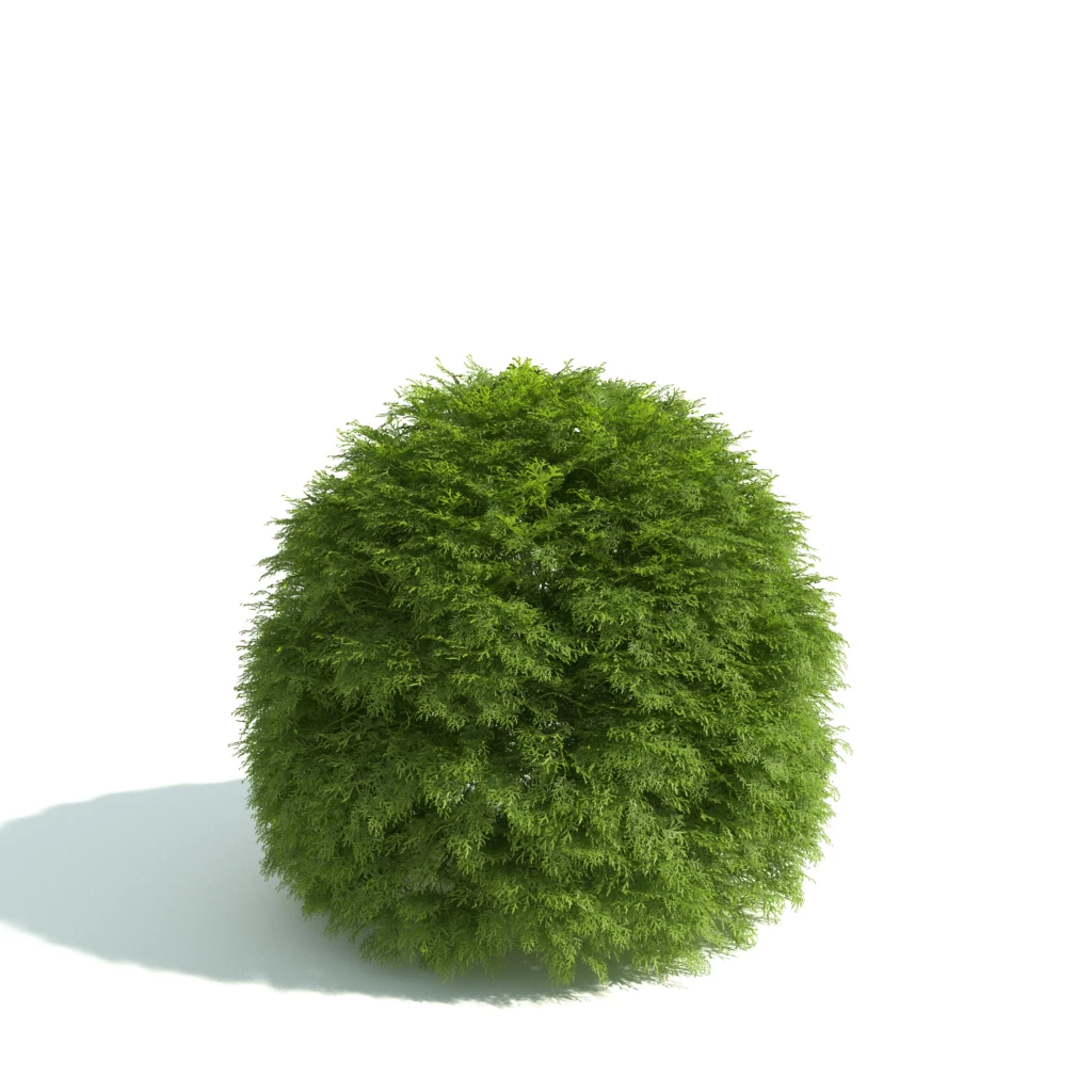 hedges 012 — Descargar