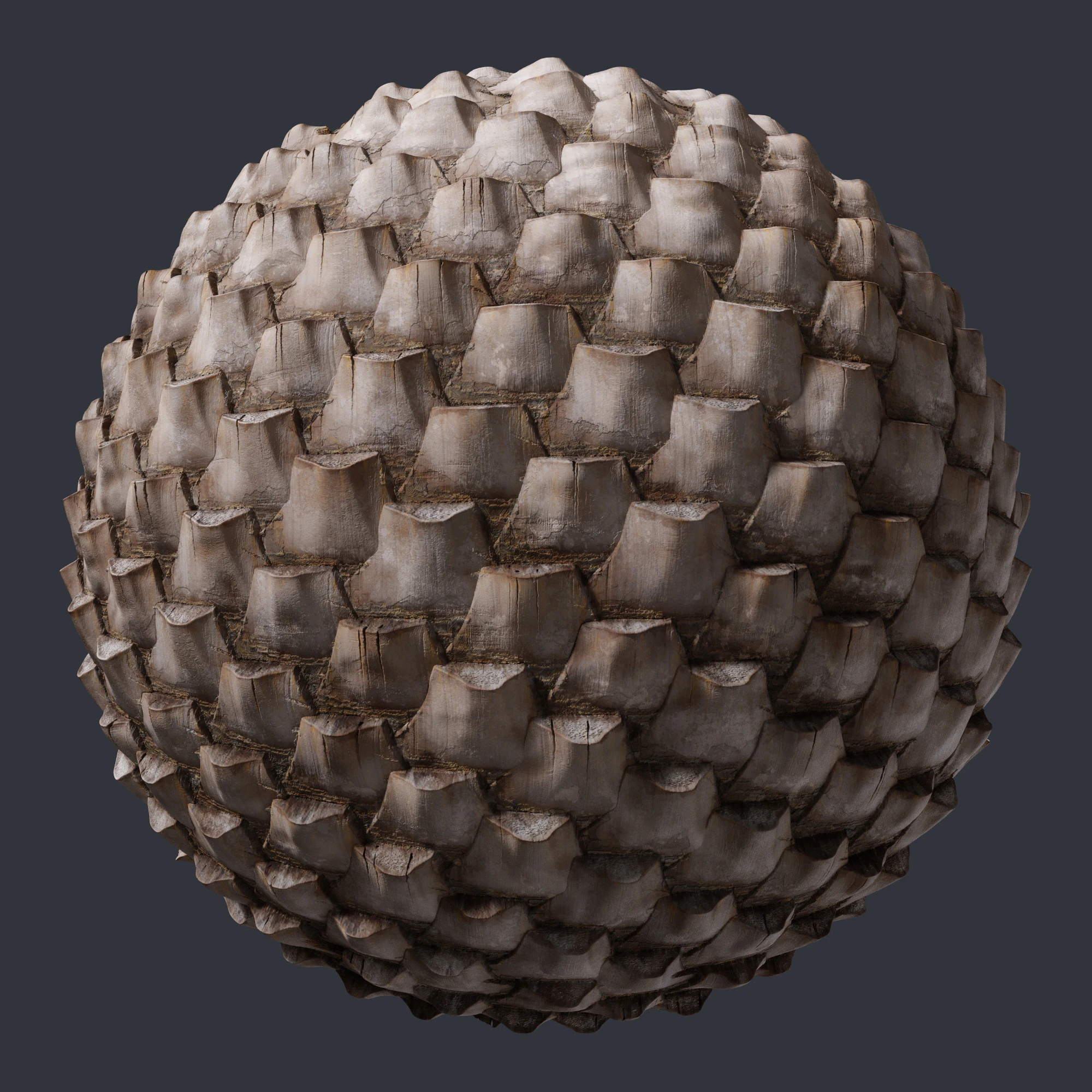 palm trunk 004 — Скачать