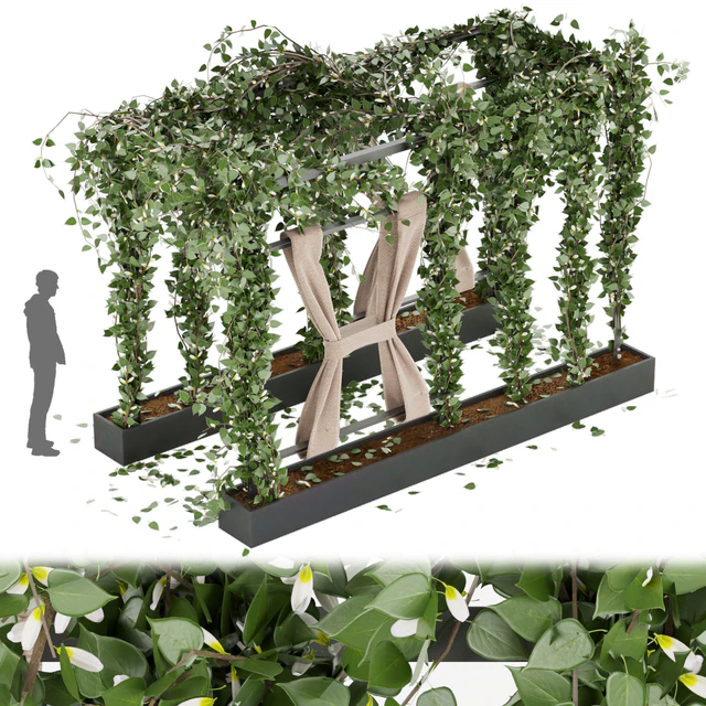 Collection plant vol 28 — Descargar
